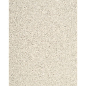 Delightful Intent SmartStrand 42oz Carpet