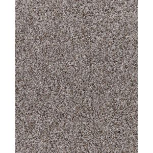 Innate Elements Textured 65oz SmartStrand Carpet