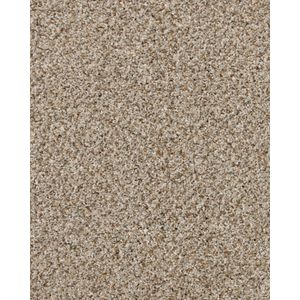 Revived Classic Textured 60oz SmartStrand Carpet