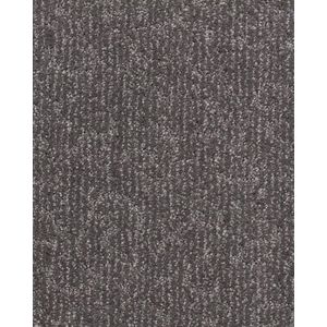 Fleurious Textured 46oz SmartStrand Carpet