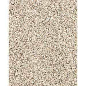Instinctive Classic Textured 42oz SmartStrand Carpet