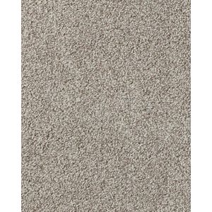 Salinas Valley I Textured 40oz SmartStrand Carpet