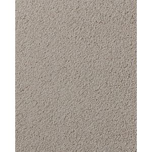 Salinas Valley II Textured 55oz SmartStrand Carpet