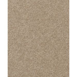 Delicate Shades Textured 70oz SmartStrand Carpet