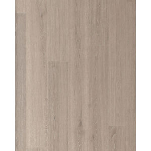 Andilet Hammered Silver Oak BelleLuxe 8
