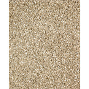 Lavish Luxury Textured SmartStrand Carpet