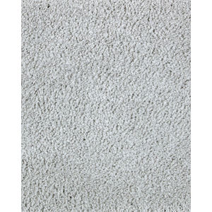 Lavish Touch Textured SmartStrand Carpet
