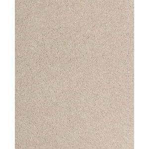 Luxuriant Feel Textured SmartStrand Carpet