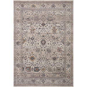 Lyra LYR-04 Pebble/Multi Area Rug