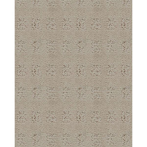 Majestic Elegance Patterned Carpet