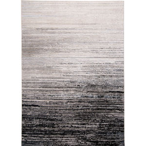 Micah 3337F Black/Gray Area Rug
