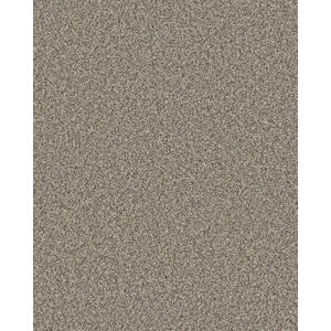 Mirador Textured 73oz Carpet