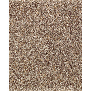 Natural Beautiful II SmartStrand Carpet