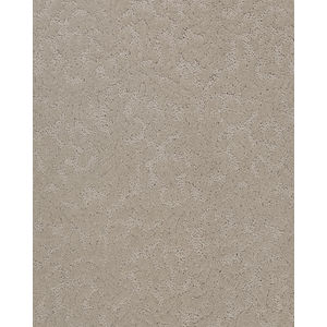 Natural Legacy Patterned SmartStrand Carpet