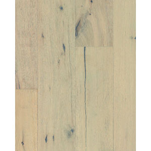 Nature's Canvas Silver White Oak Winter Forest Hardwood