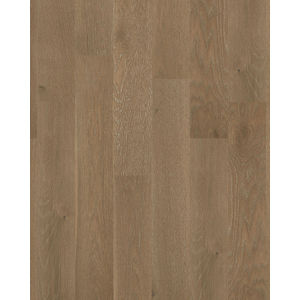 Noble Hall White Oak Majesty 7