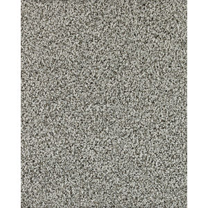 North York Textured Kashmere Nylon Carpet