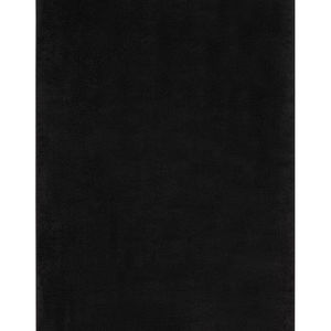 Nourison Essentials NRE01 Black Area Rug