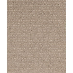 Luxurious Moment Patterned SmartStrand Carpet