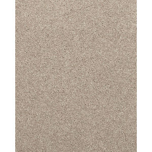 Willow Creek Textured SmartStrand 40oz Carpet