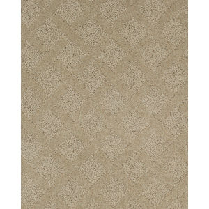 Momentous Beauty Patterned SmartStrand Carpet