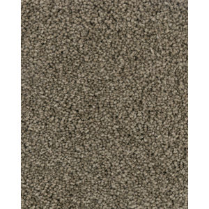 Dove Creek SmartStrand Textured 45oz Carpet
