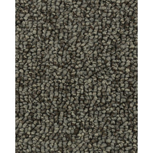 True Distinction EverStrand Carpet