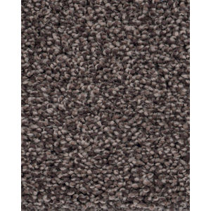 Oracle Textured Nylon Carpet