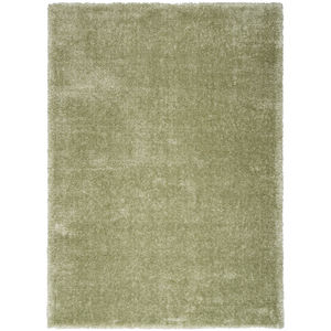 Pacific Shag PCS01 Green Area Rug