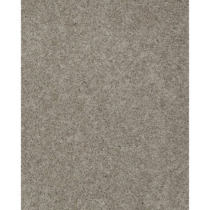 Pagosa Textured Nylon 39oz Carpet