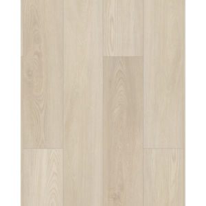 Paladin Plus Silver Dollar Luxury Vinyl
