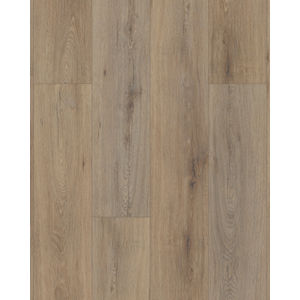Paladin Plus Wild Dunes Luxury Vinyl