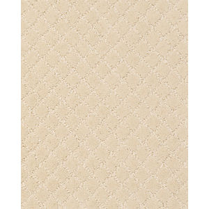 Pawnache Patterned Nylon Carpet