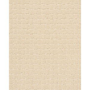 Pawstruck Patterned Nylon Carpet