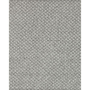 Pleasant Shades Kashmere Nylon Carpet
