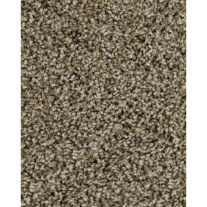Posh Beauty Textured SmartStrand Carpet