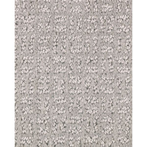 Pristine View SmartStrand Patterned Carpet