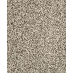 Purrsonality I Pet Friendly 48oz Carpet