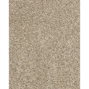 Purrsonality II Pet Friendly 60oz Carpet