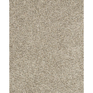 Raise The Woof II Pet Friendly 53oz Carpet