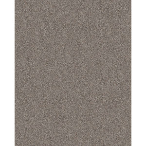 Refined Chic Chic Greige Textured Carpet