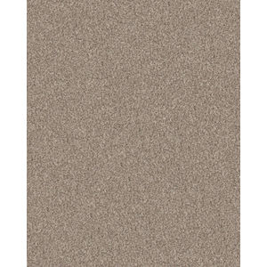Refined Chic Natural Textured Carpet