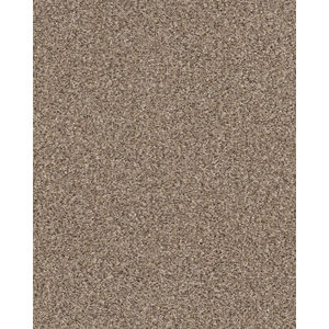 Refined Chic Textured 45oz Carpet