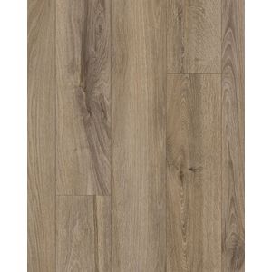 Refined Forest Fawn 9