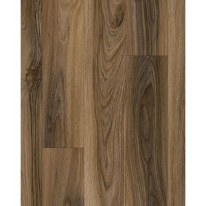 Refined Forest Sienna 9