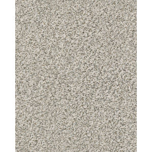 Ridgeway Walk Textured Nylon Carpet