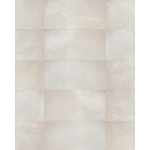 S.A.L.T. Onyx 12x24 Polished Porcelain Tile