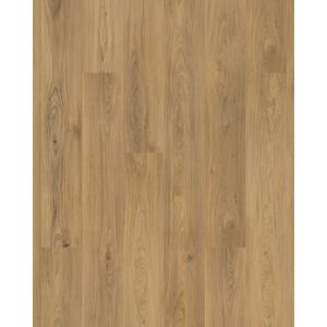 Barker Hollow SolidTech Plus Chance Luxury Vinyl