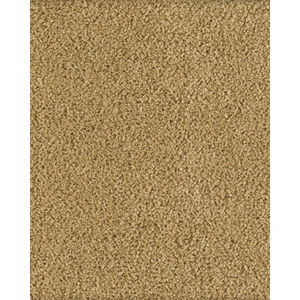 Soft Excellence Textured SmartStrand Carpet