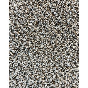 Soft Impact B Studio Textured Berber Carpet